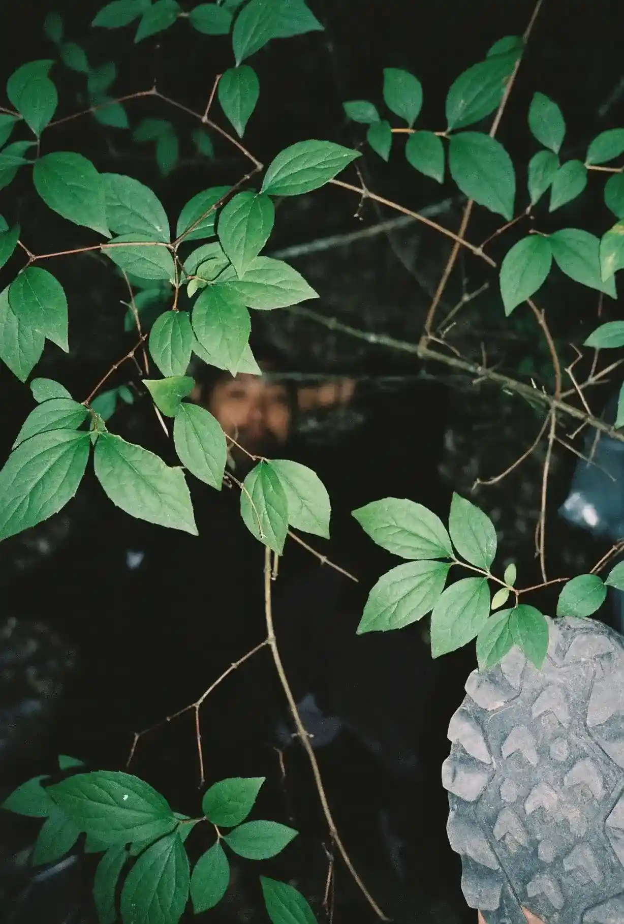 Nūr 12 • 2nd Anniversary - 2